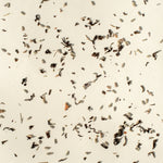 BLACK TEA, LAVENDER + CINNAMON (BLC)